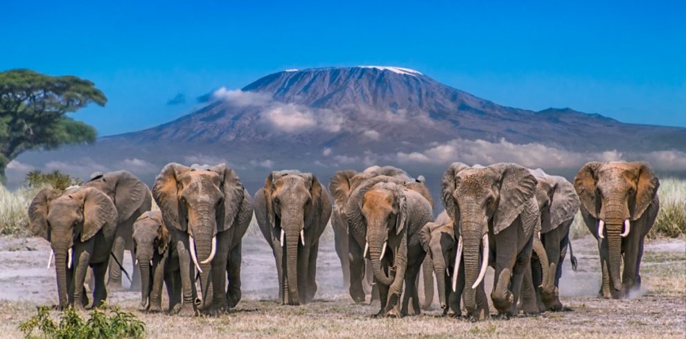 Amboseli-National-Park